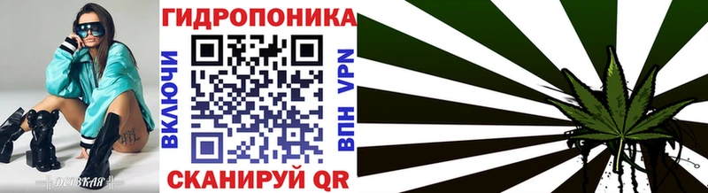 Каннабис планчик  Артёмовский 